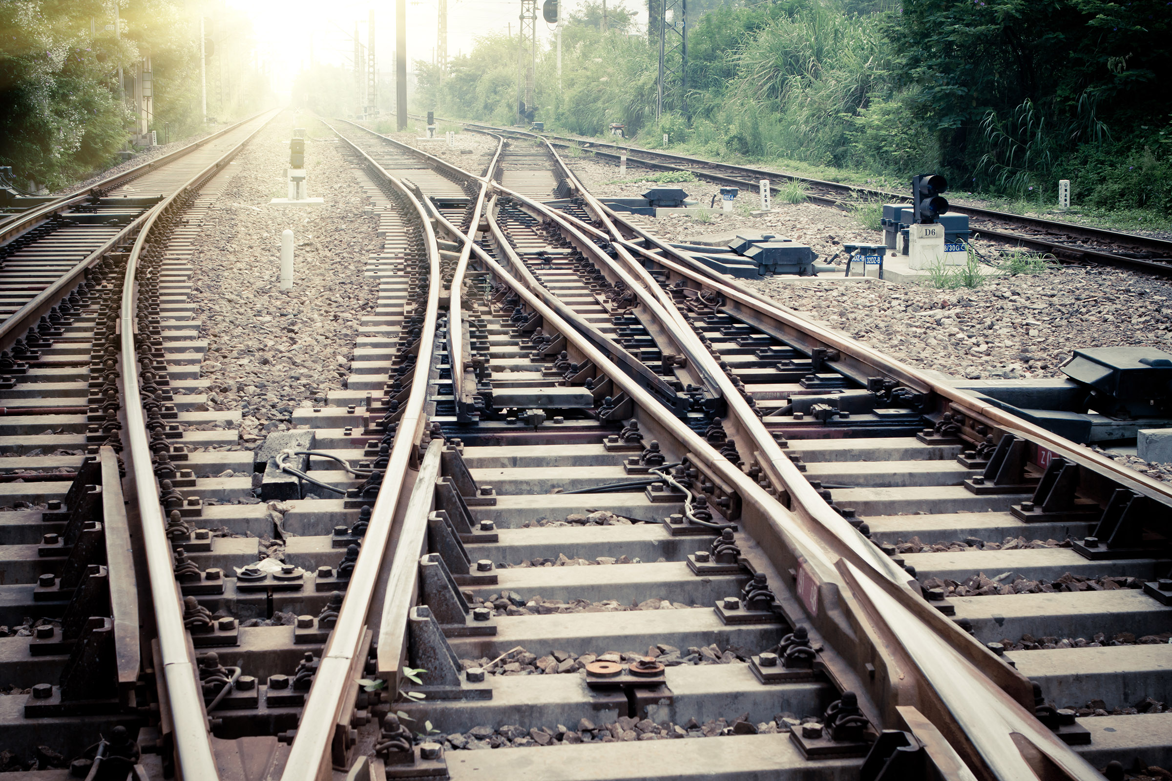 Improved customer focus to accelerate international ra... Improved customer focus to accelerate international ra...